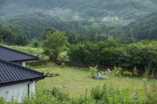 안림가