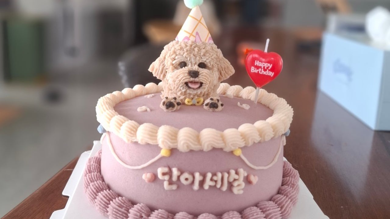 펫카페 오복