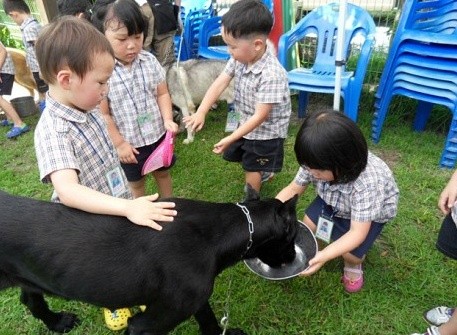 진로 직업 체험 활동