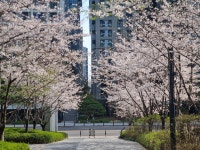 반포중원공인중개사사무소