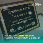 미소아름치과의원 전주