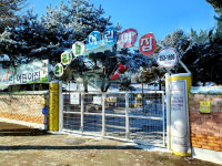 리라숲어린이집