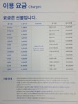 크린토피아 대전용두하늘채엘센트로점