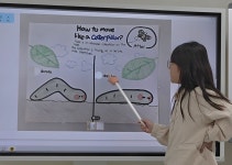 노부영영어드림 김해율하관동영어교습소