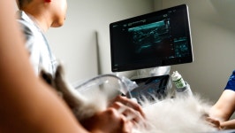 24시산곡나무동물의료센터