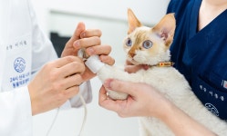 24시산곡나무동물의료센터