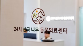24시산곡나무동물의료센터