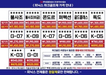 피닉스파크골프 서울송파점