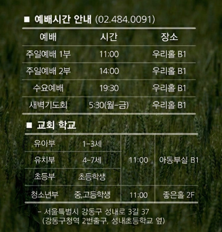 우리좋은교회 사진 3