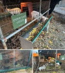 대원박촌주말농장