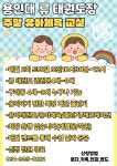 용인대류태권도장