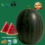 고창대산농원