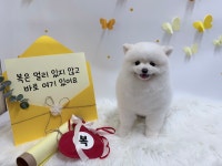 그루몽실