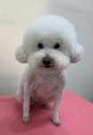 달코살롱