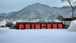 프린세스 피크닉 카페