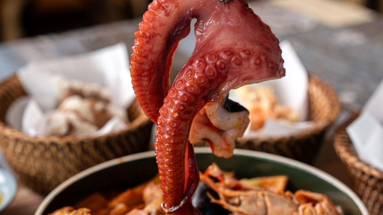 제주밀당 이호테우점