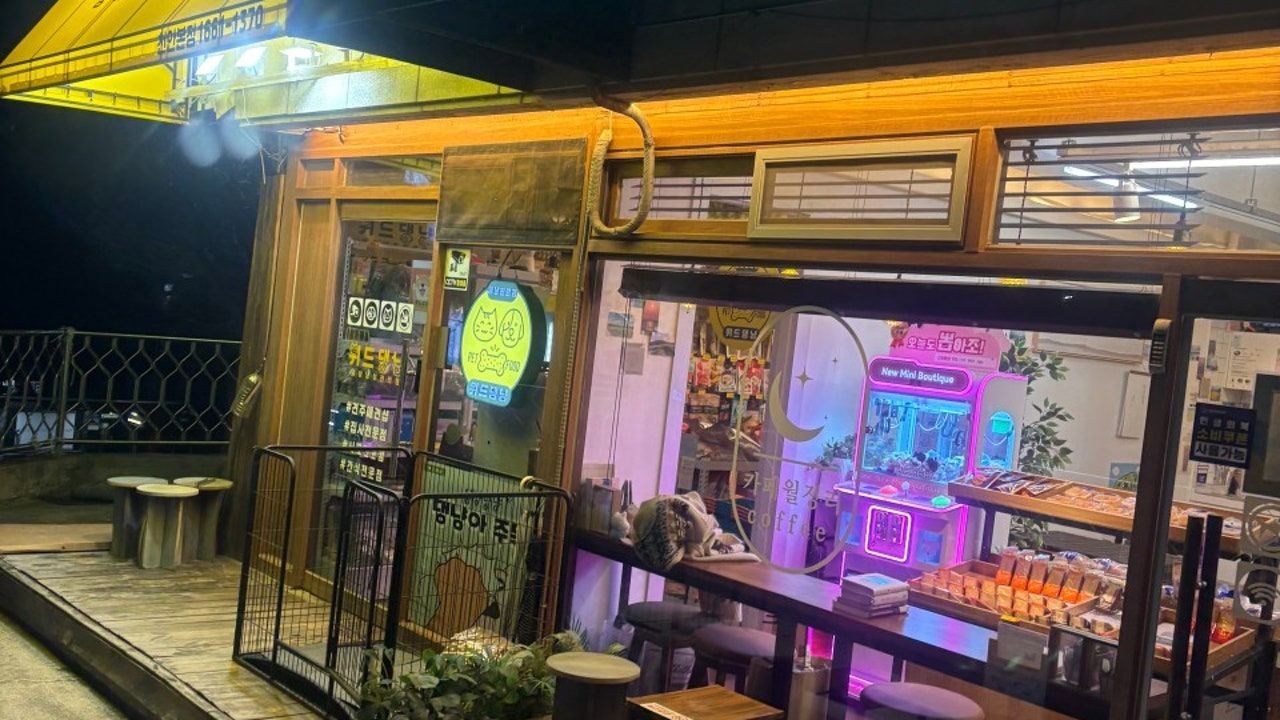 카페월정리