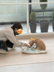 그루밍리본