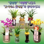 조원플라워영도할매꽃집 | 굿서비스전국꽃배달