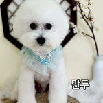 더도그살롱 탄현점