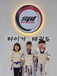 국가대표 타이거 태권스쿨