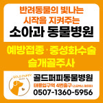 골드퍼피동물병원 공릉점