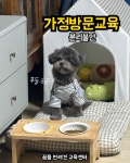 꿈틀 반려견 교육센터