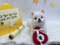 그루몽실