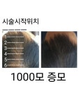 담소앤 테라피 중리점 | 담소앤테라피