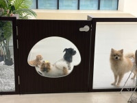 24시멍글몽글유치원&호텔링