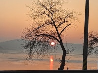 산수촌