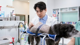 당신의동물의료센터