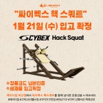 제이디짐 비산점