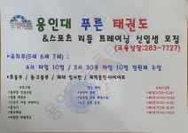 용인대푸른태권도