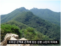 개나리공인중개사사무소