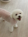 뽀송하댕