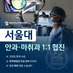 잠실바른눈안과동물병원