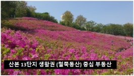개나리공인중개사사무소