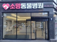 소망동물병원
