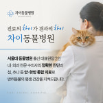 차이동물병원