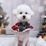 하이멍 애견미용실&애견호텔