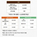 애견돌봄호텔미용 벽지뜯는강아지
