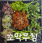 대박실내마차