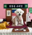 개뜰날라운지
