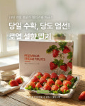 대디스팜