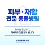 도담동물병원 강동