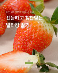 대디스팜