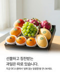 대디스팜
