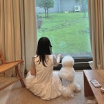 하이댕댕유치원