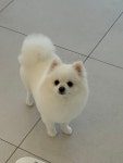 파파독 동해